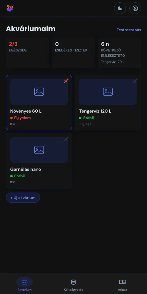 Egy akvárium, vagy az egész halszobád