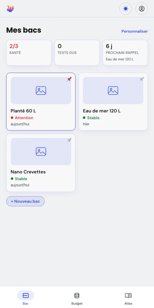 Un bac, ou toute ta fishroom