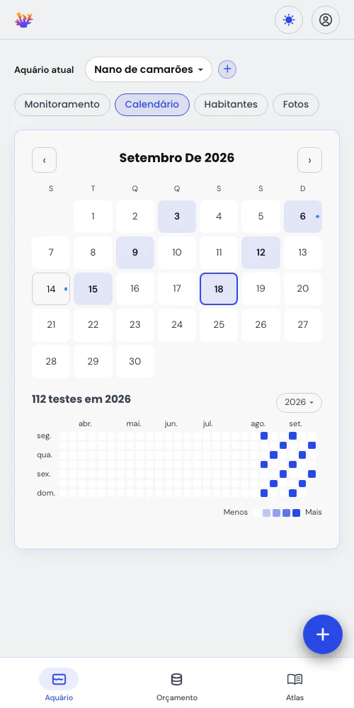 Uma visão de conjunto graças ao calendário